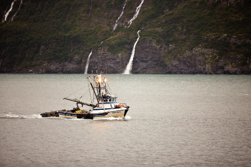 a fishing trawler on the water