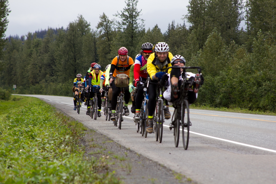 A paceline of bicyclists on the road