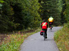 two cyclist on wooded bike trail